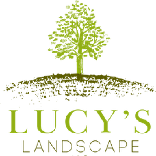 Lucy's Landscape